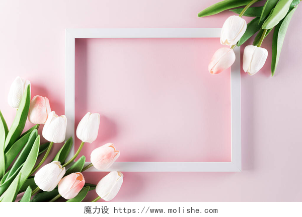 粉色背景上的白色画框和郁金香花母亲节快乐，母亲节快乐，情人节快乐。画框和郁金香花平铺图案的背景.